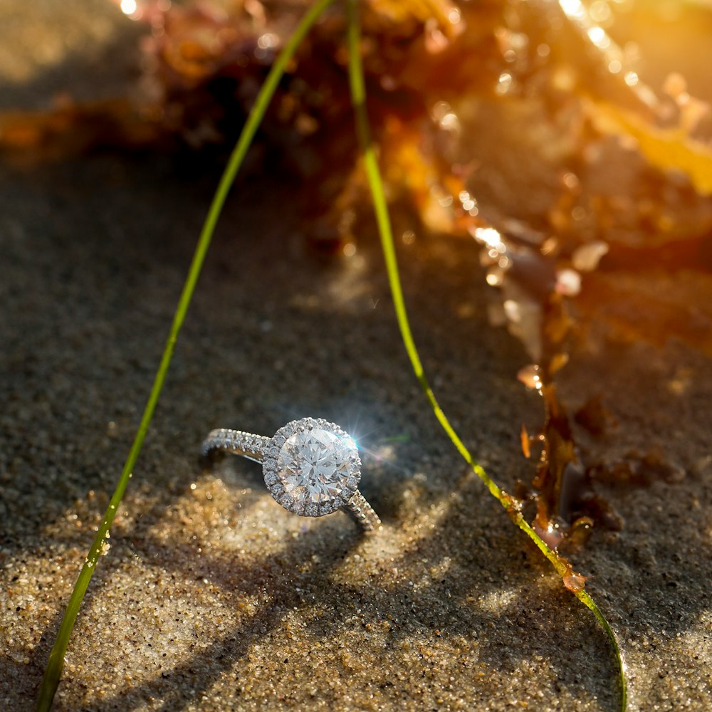 Ring im Sand am Wasser