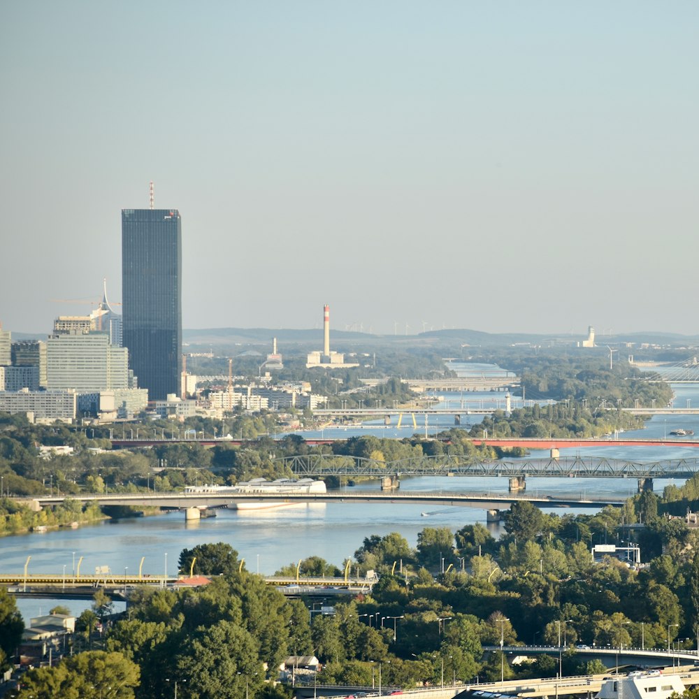 Die Donau mit Brücken in Wien